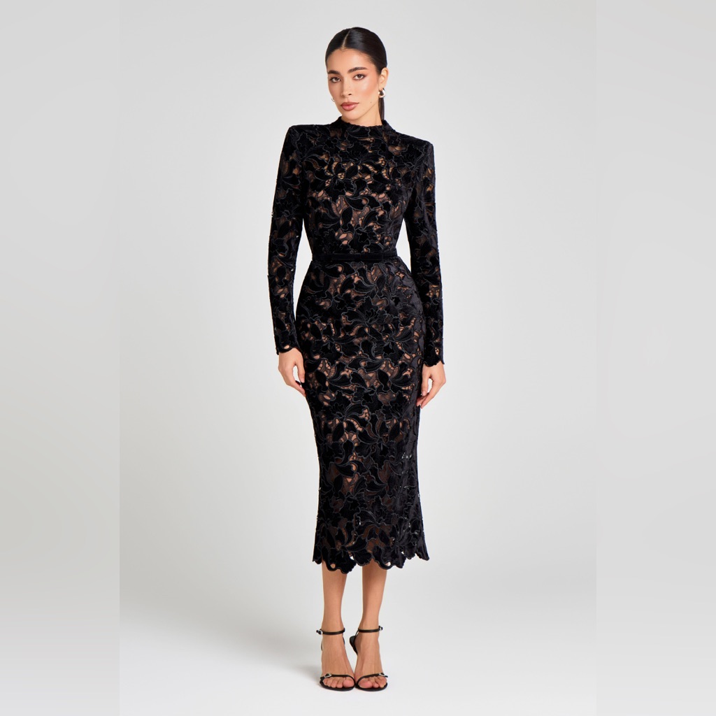 Nadine Merabi Diane Black Velvet Embroidered Midi Dress Sz Xs (2) Msrp $545 Nwt